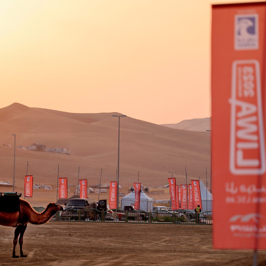 Liwa Sports Club - Liwa Festival