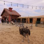 LIWA-ZOO-PARK-03