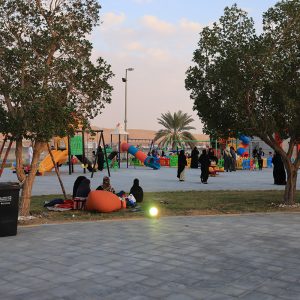 Family activities Abu Dhabi Liwa Festival 